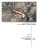 la-jolla-draft-ea-cover